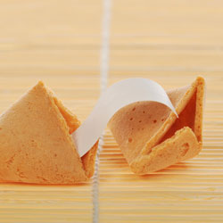 Bulk/Wholesale Fortune Cookies.